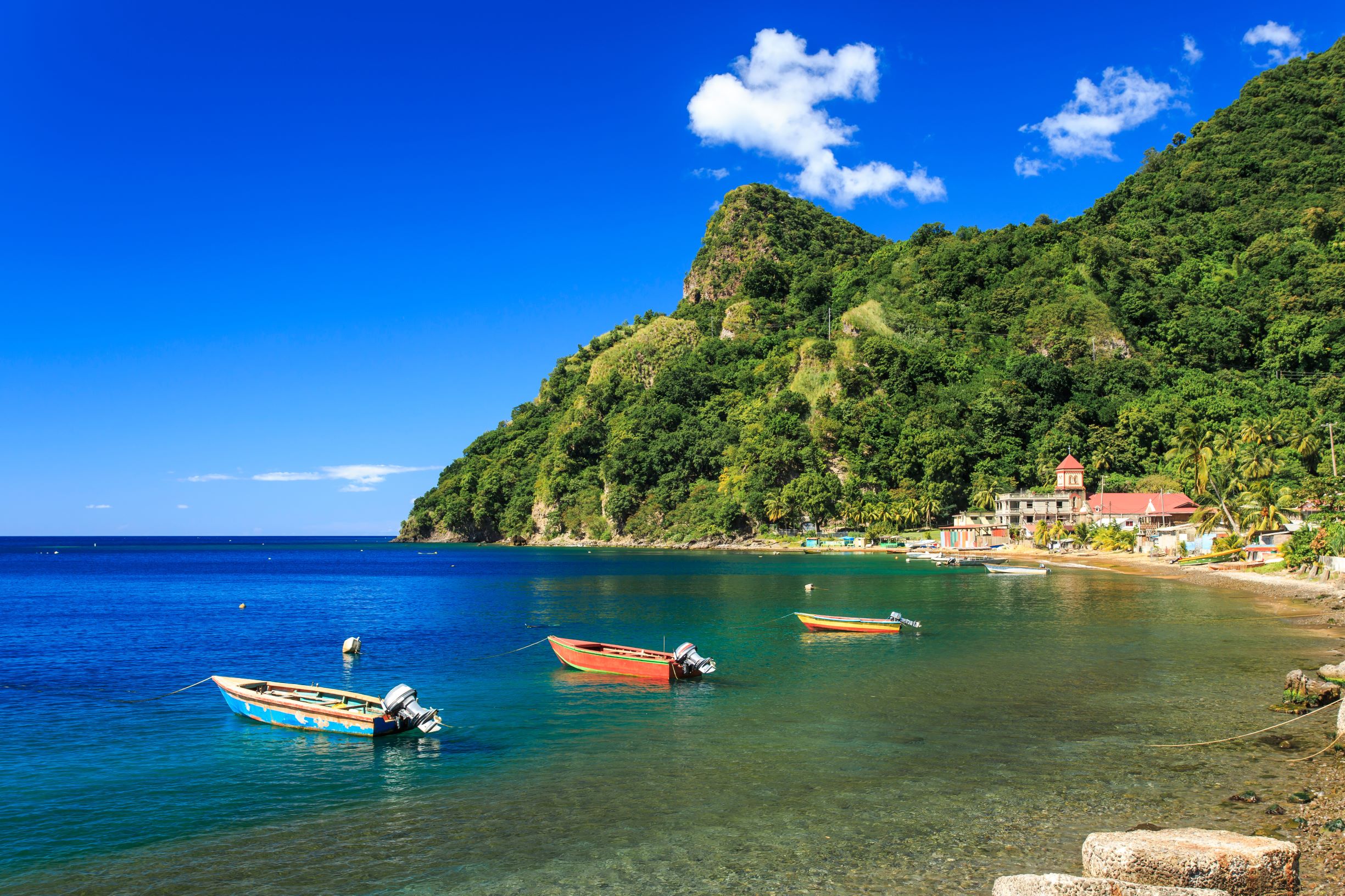 Dominica - Image Bild - Jungle Bay