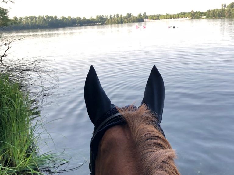 Deutschland Aktiv - ImageBild Reiturlaub