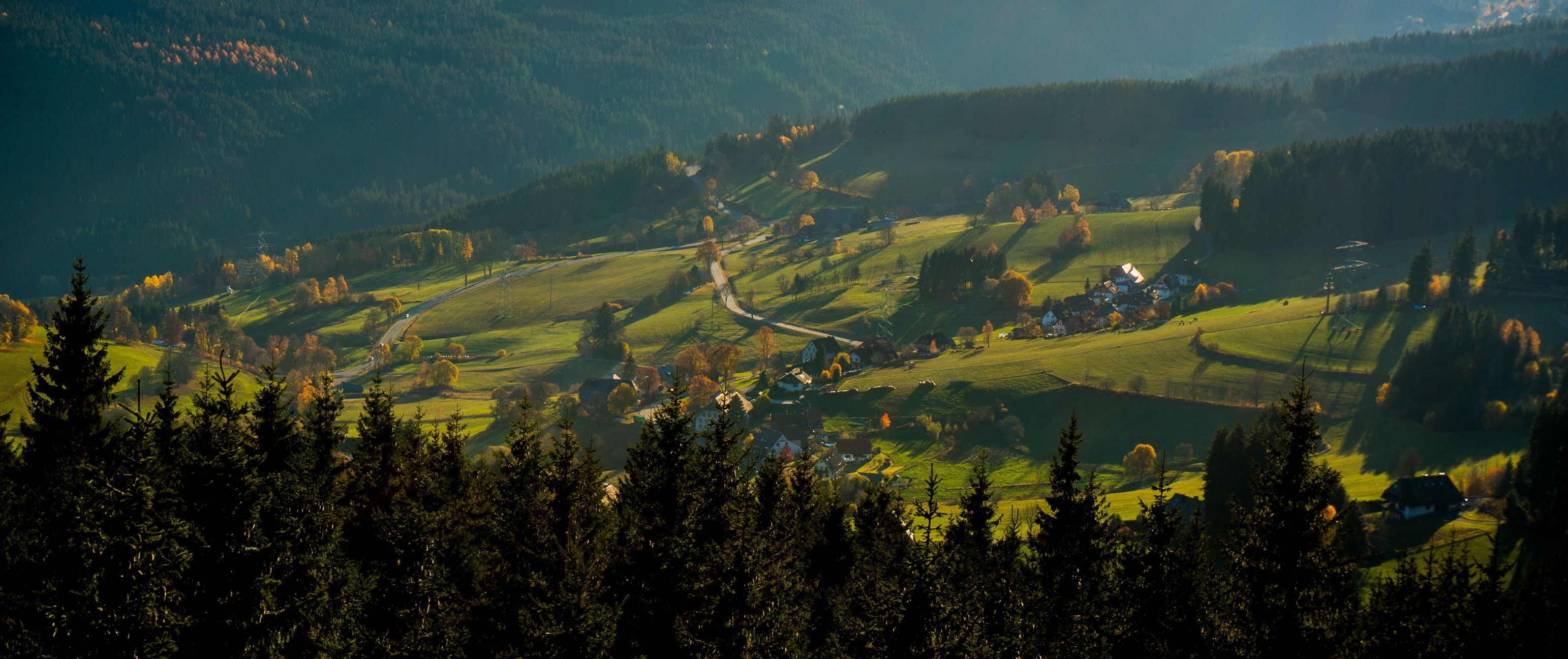 Deutschland - ImageBild Schwarzwald